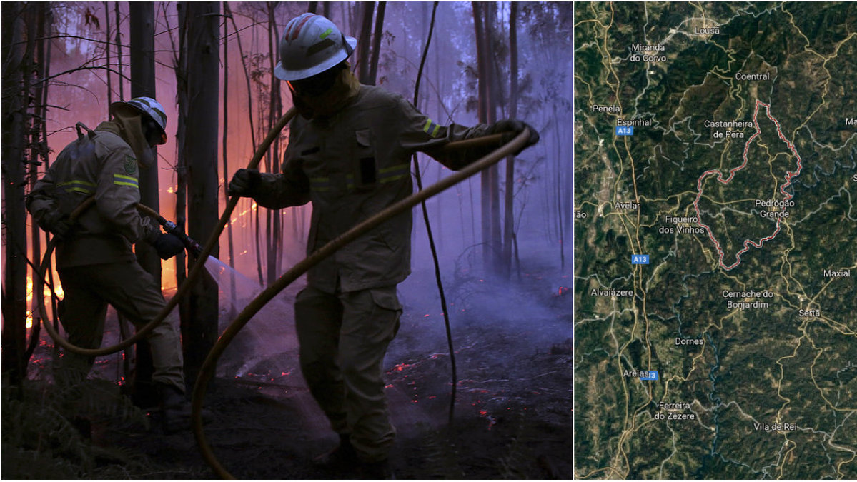 62 människor har omkommit i den stora skogsbranden i centrala Portugal.
